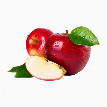 Fusce fermentum